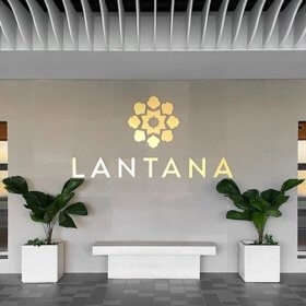 Vertical Panama - Lantana